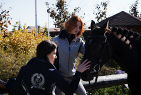 PERFECT HORSE odzież jeździecka polówki bluzy jeździeckie damskie polar lustra treningowe Polska